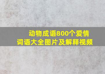 动物成语800个爱情词语大全图片及解释视频