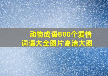 动物成语800个爱情词语大全图片高清大图