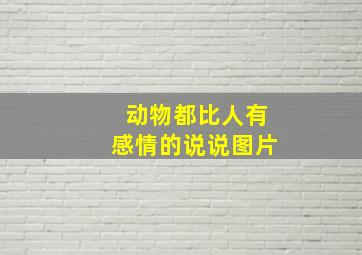 动物都比人有感情的说说图片