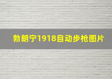 勃朗宁1918自动步枪图片