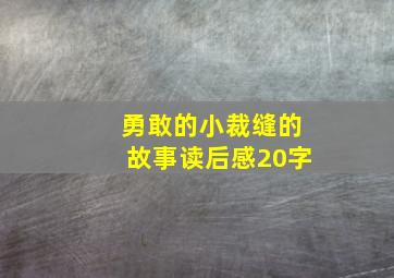 勇敢的小裁缝的故事读后感20字