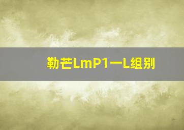 勒芒LmP1一L组别