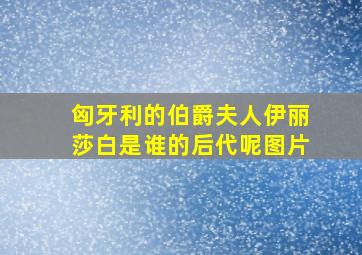 匈牙利的伯爵夫人伊丽莎白是谁的后代呢图片