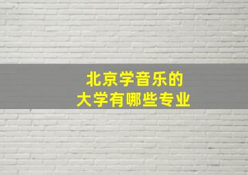 北京学音乐的大学有哪些专业