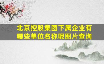 北京控股集团下属企业有哪些单位名称呢图片查询