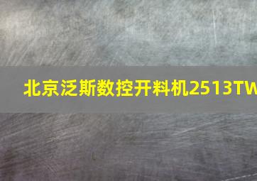 北京泛斯数控开料机2513TW