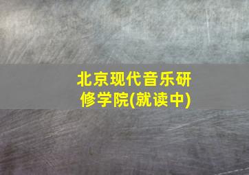 北京现代音乐研修学院(就读中)