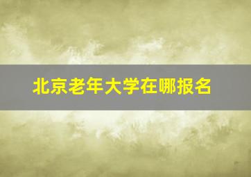 北京老年大学在哪报名