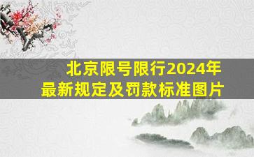 北京限号限行2024年最新规定及罚款标准图片