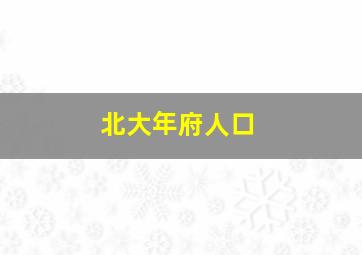 北大年府人口