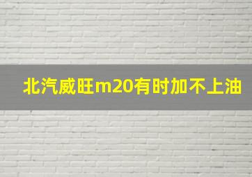 北汽威旺m20有时加不上油