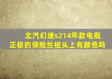 北汽幻速s214年款电瓶正极的保险丝桩头上有颜色吗