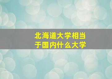 北海道大学相当于国内什么大学