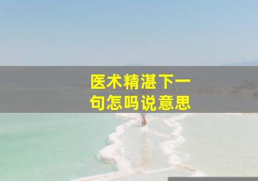 医术精湛下一句怎吗说意思