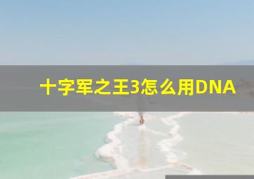 十字军之王3怎么用DNA