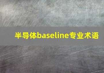 半导体baseline专业术语