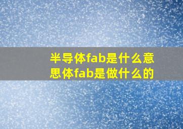 半导体fab是什么意思体fab是做什么的