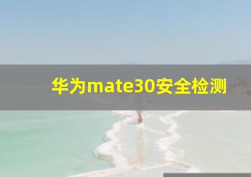 华为mate30安全检测