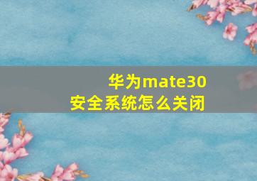 华为mate30安全系统怎么关闭