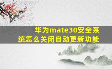 华为mate30安全系统怎么关闭自动更新功能