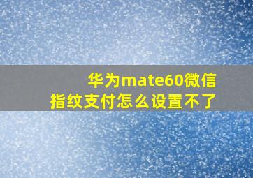 华为mate60微信指纹支付怎么设置不了