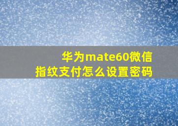 华为mate60微信指纹支付怎么设置密码