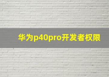 华为p40pro开发者权限