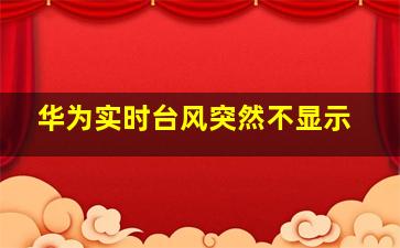 华为实时台风突然不显示