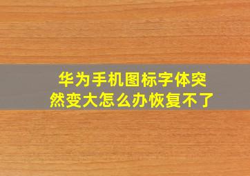 华为手机图标字体突然变大怎么办恢复不了