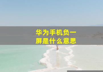 华为手机负一屏是什么意思