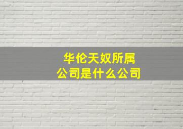 华伦天奴所属公司是什么公司