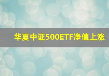 华夏中证500ETF净值上涨