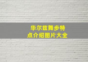 华尔兹舞步特点介绍图片大全