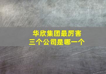 华欣集团最厉害三个公司是哪一个