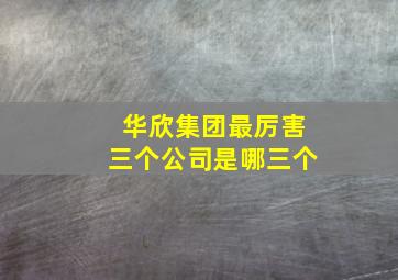 华欣集团最厉害三个公司是哪三个