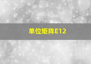 单位矩阵E12