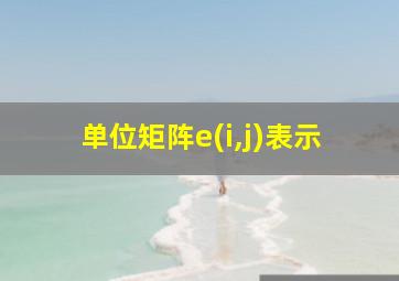 单位矩阵e(i,j)表示