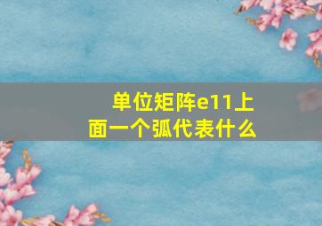 单位矩阵e11上面一个弧代表什么