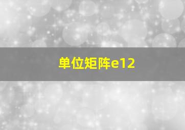 单位矩阵e12