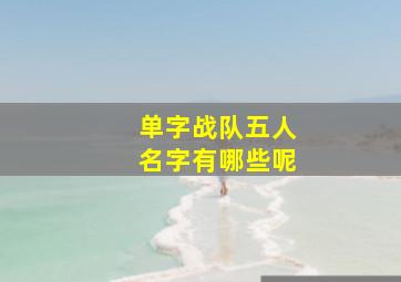 单字战队五人名字有哪些呢