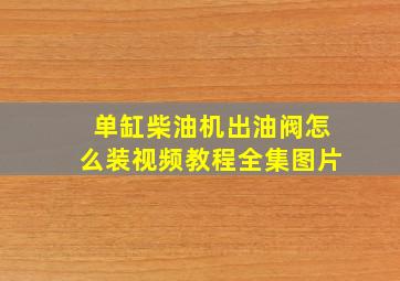 单缸柴油机出油阀怎么装视频教程全集图片