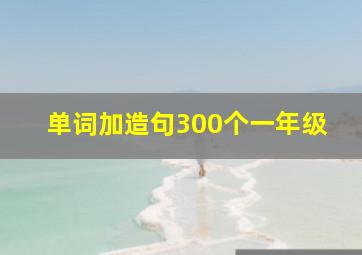 单词加造句300个一年级