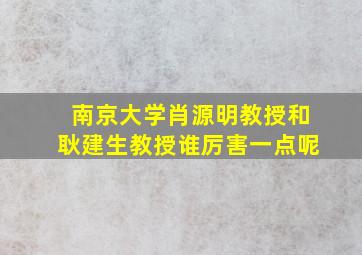 南京大学肖源明教授和耿建生教授谁厉害一点呢