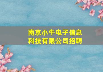 南京小牛电子信息科技有限公司招聘