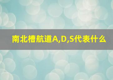 南北槽航道A,D,S代表什么