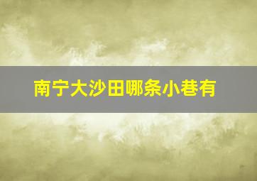 南宁大沙田哪条小巷有