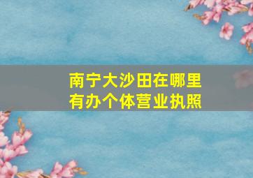 南宁大沙田在哪里有办个体营业执照