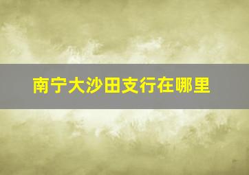 南宁大沙田支行在哪里