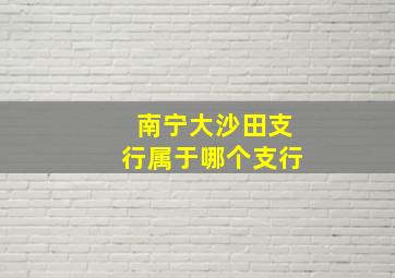 南宁大沙田支行属于哪个支行