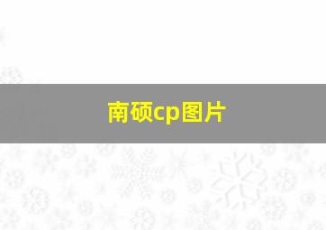 南硕cp图片